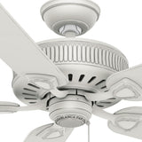 Casablanca Ainsworth 54" Ceiling Fan with Five Espresso/Smoked Walnut Blades