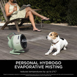 Shark FlexBreeze HydroGo Cordless Fan, Powerful Portable Fan with Misting, Indoor & Outdoor Cooling, Quiet & Durable, Compact & Lightweight, 5 Speed Settings, Mint FA050UKGN