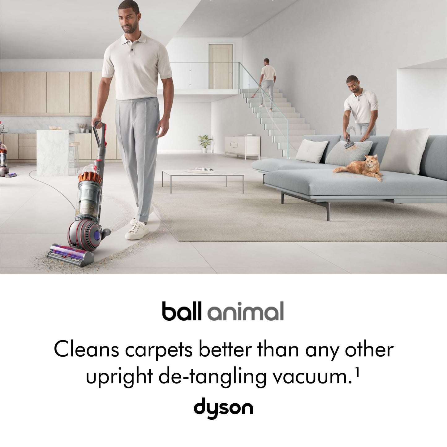 Dyson Ball Animal UP32 Vacuum Cleaner, self-detangling vanes for pet hair (Nickel/Silver)