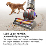 Dyson Ball Animal UP32 Vacuum Cleaner, self-detangling vanes for pet hair (Nickel/Silver)