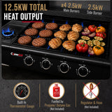 CosmoGrill Pro Deluxe 5 Gas Burner 4+1 Barbecue Grill, Steel Warming Rack, Side-Burner, Built-in Temperature Gauge for Home Garden Party Outdoor Cooking (93411)
